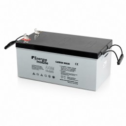 Batterie AGM 12V 320Ah -...